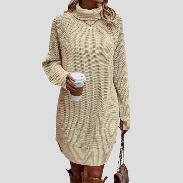 Women's Turtleneck Jumper Dress with Long Sleeves